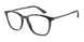 5026 - Tortoise