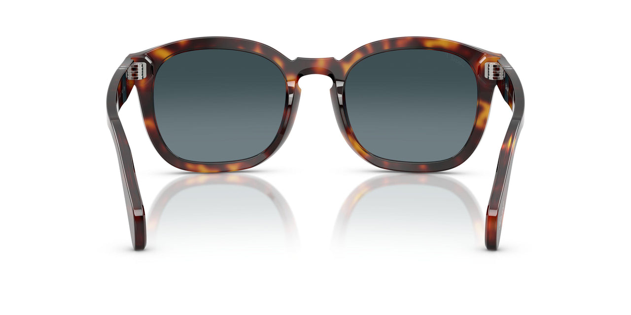 24/S3 - Tortoise - Light Blue Gradient Dark Blue