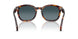 24/S3 - Tortoise - Light Blue Gradient Dark Blue