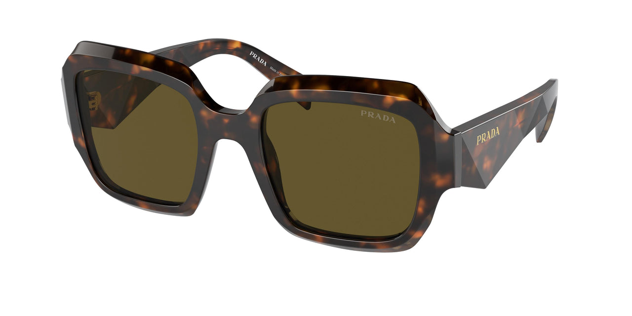 14L09Z - Green - Dark Brown