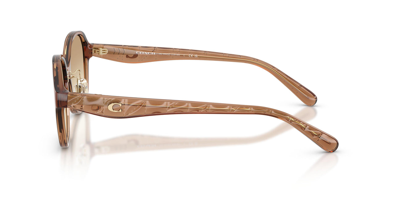 565413 - Brown - Clear Brown