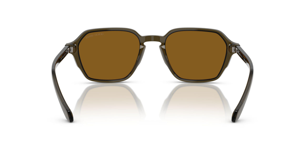 616933 - Green - Brown