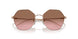 507514 - Pink - Pink Gradient Brown