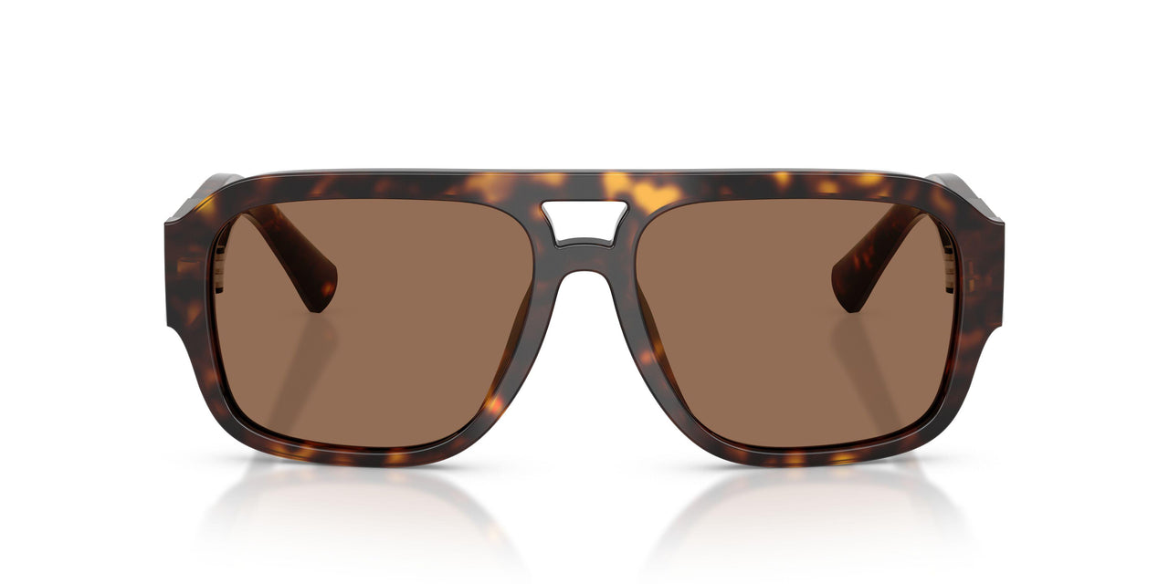 502/73 - Tortoise - Dark Brown