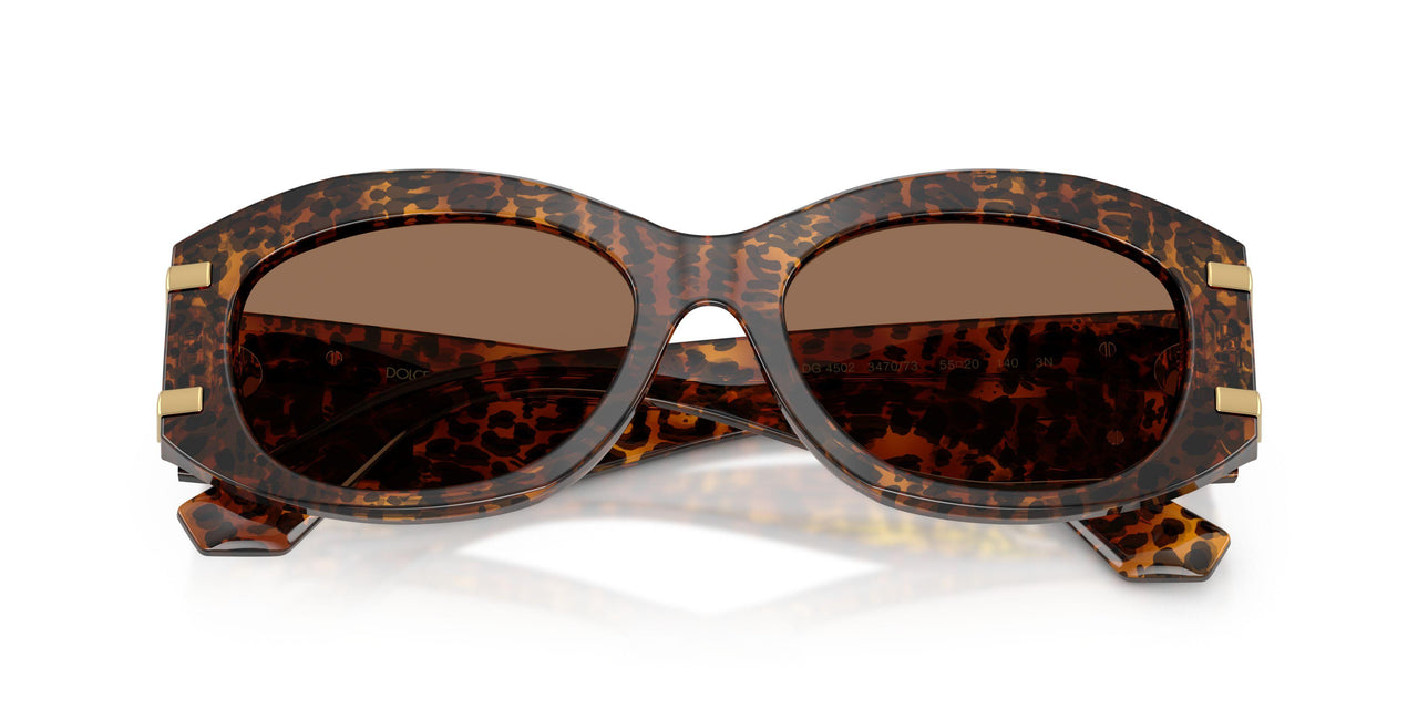 347073 - Brown - Dark Brown