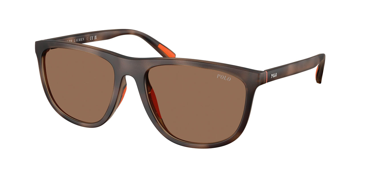 Polo 4231U Sunglasses