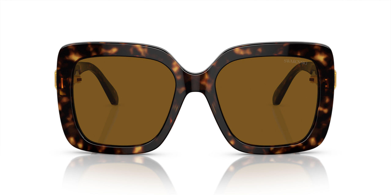 100283 - Tortoise - Polarized Brown