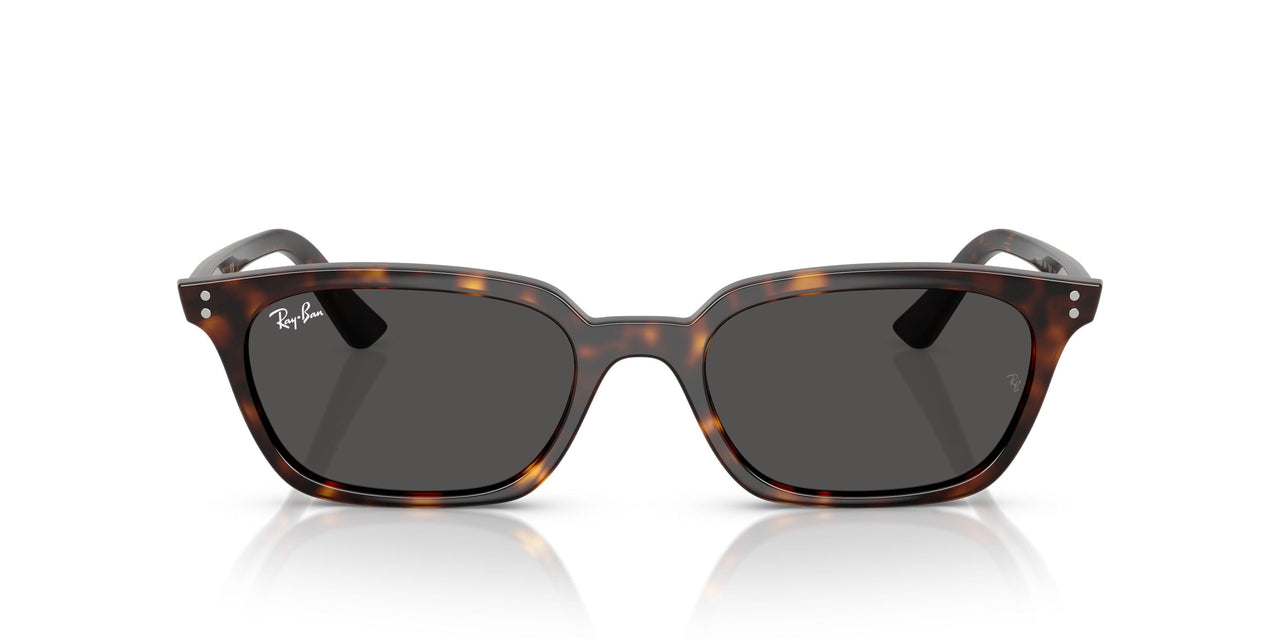 135987 - Tortoise - Dark Grey