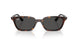 135987 - Tortoise - Dark Grey
