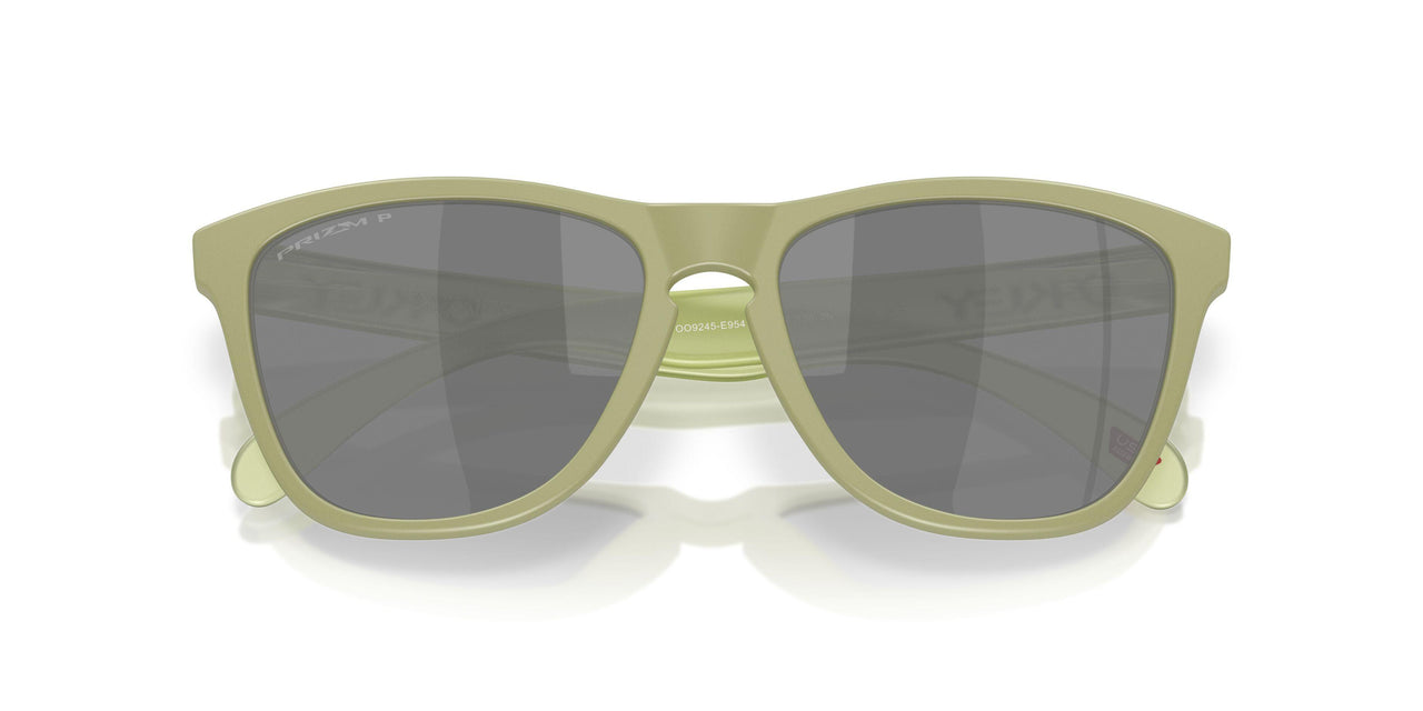 9245E9 - Green - Prizm Black Polarized
