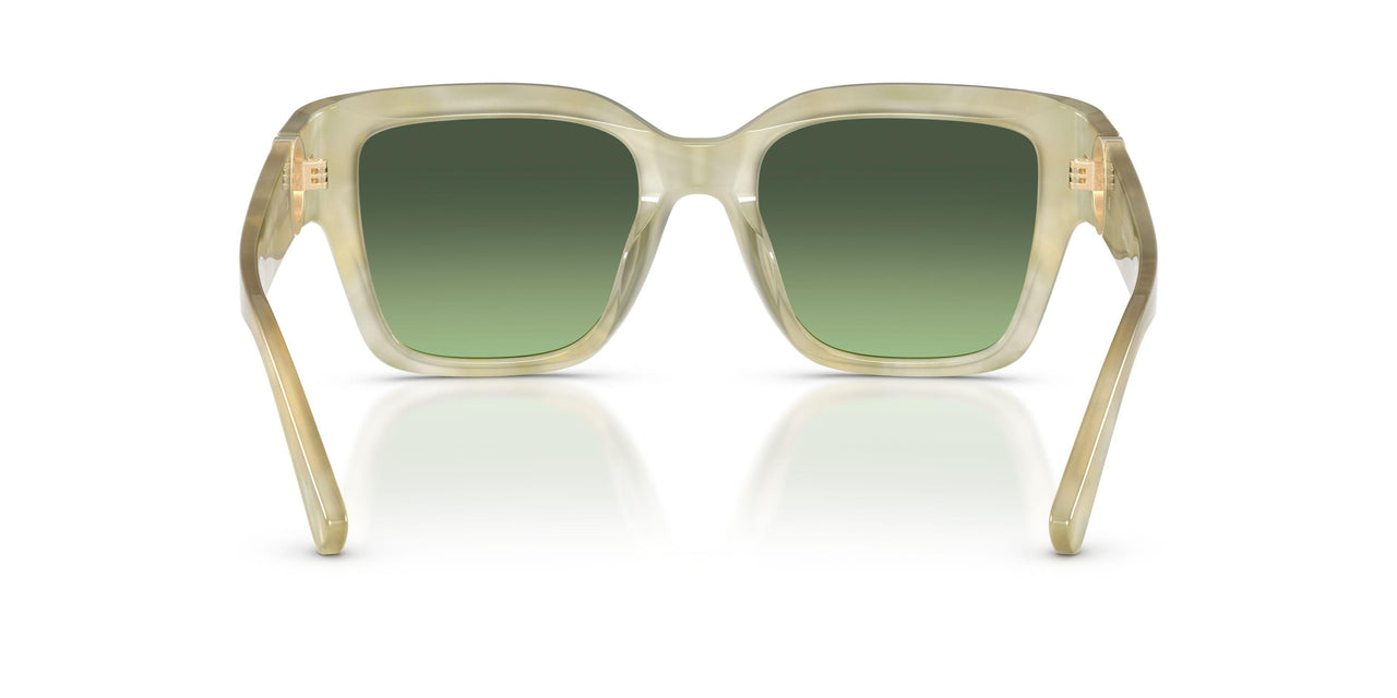 20702A - Green - Green Gradient