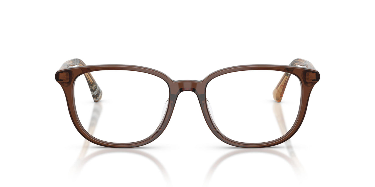 4243 - Brown