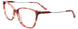 30 - Marsala Tortoise