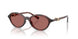 Tiffany 4266U Sunglasses
