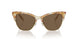 194973 - Brown - Dark Brown