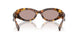 14L20I - Tortoise - Light Purple Brown