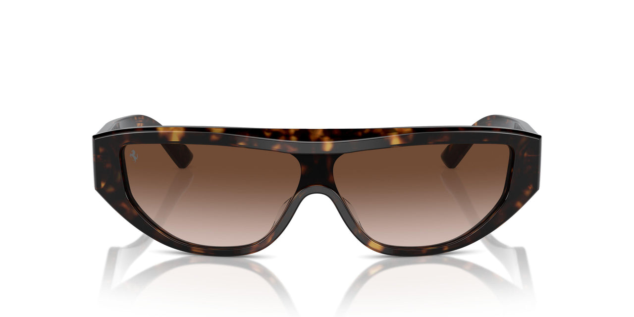 702/13 - Tortoise - Gradient Brown