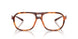 2003 - Tortoise