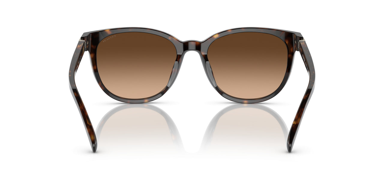512074 - Havana - Brown Gradient