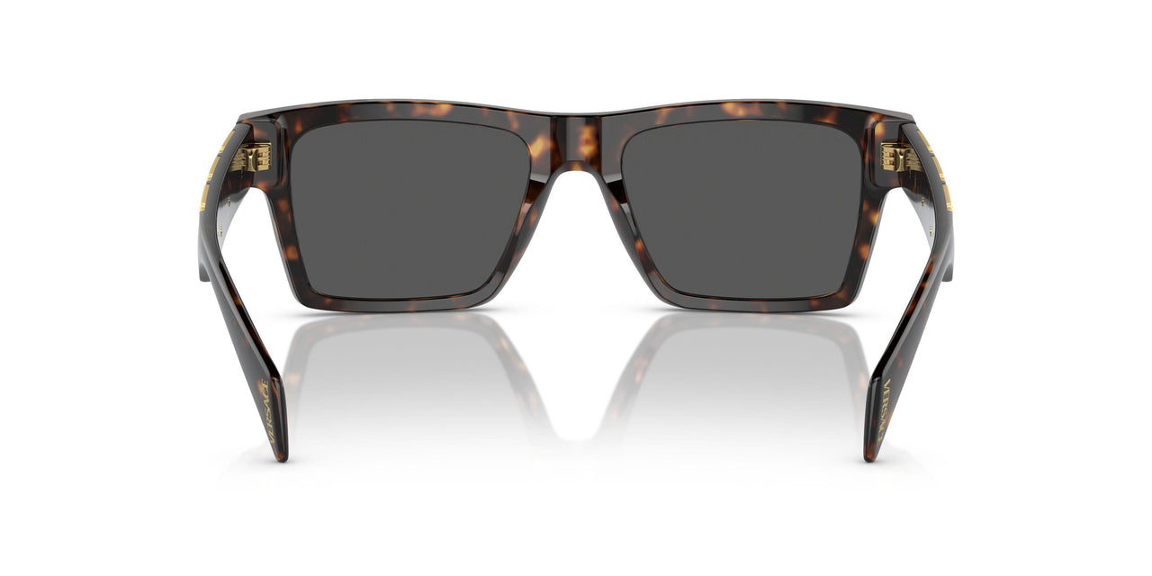 108/87 - Tortoise - Dark Grey