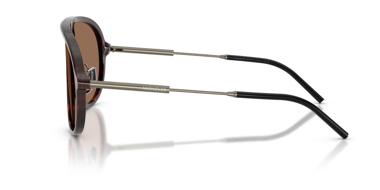 300273 - Tortoise - Brown Solid