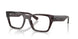 8461 - Tortoise - Clear