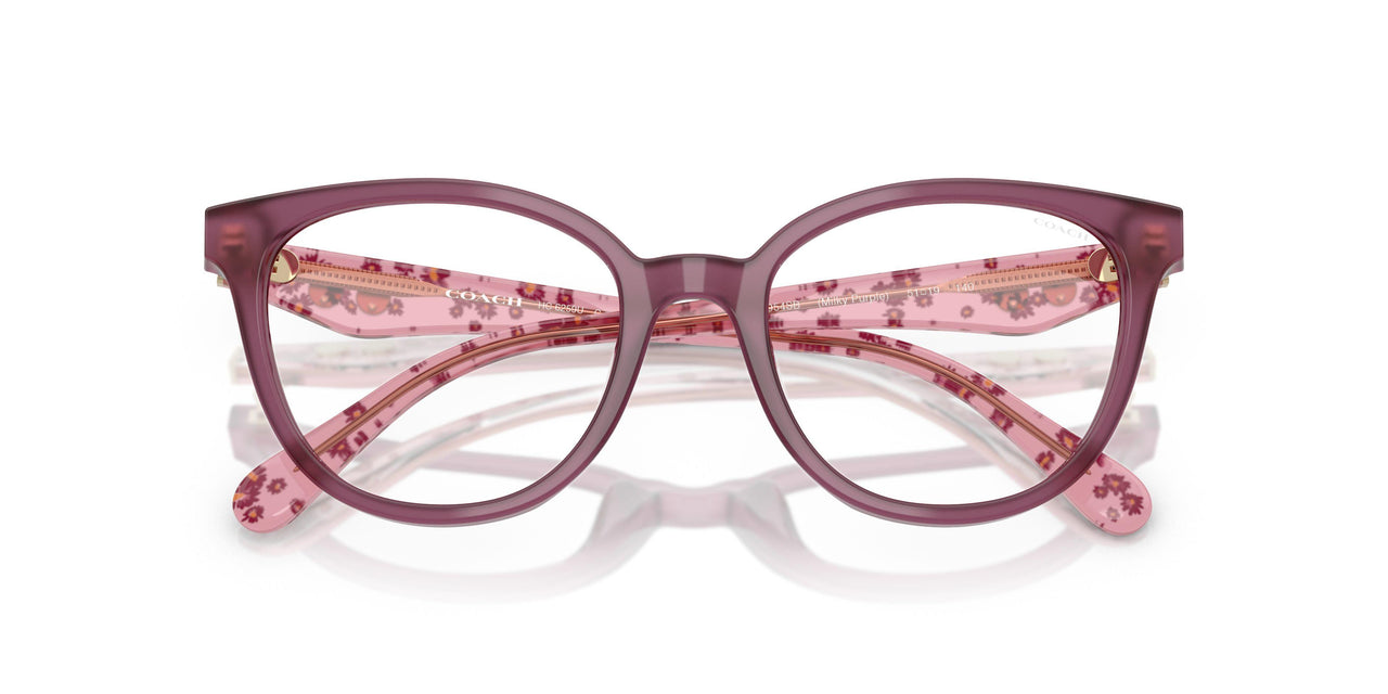 5954SB - Violet - Clear Blue Light