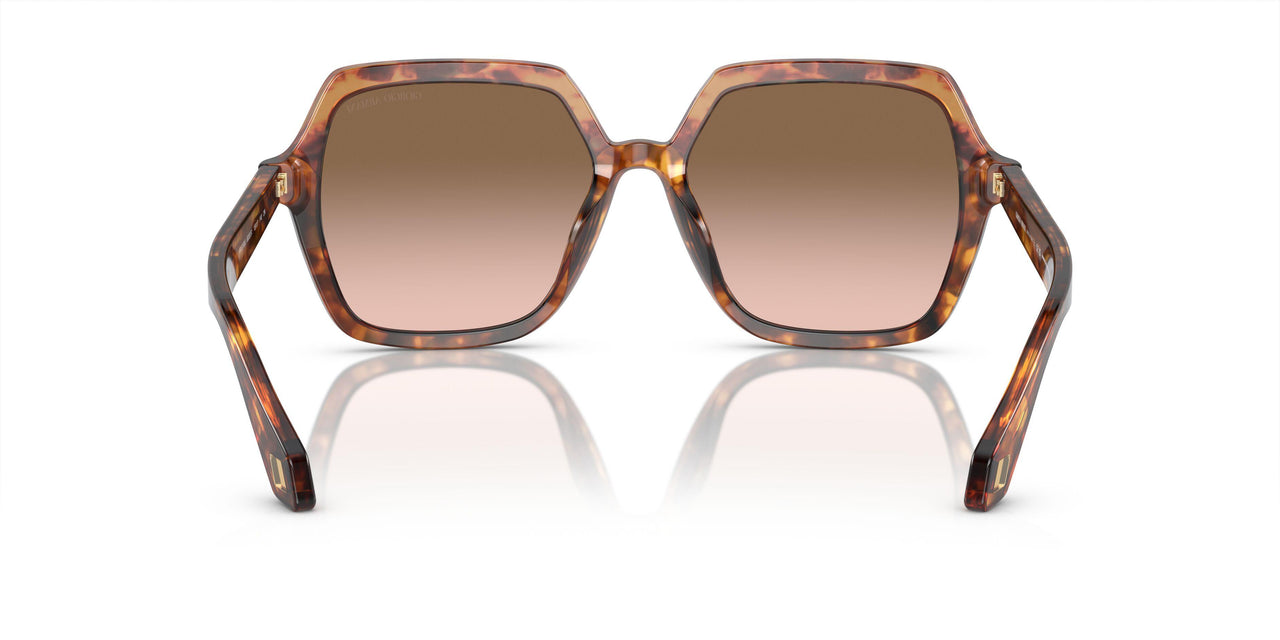 603351 - Brown - Brown Gradient