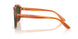 34839A - Light Brown - Dark Green Polarized