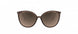 6230 - Brown / Gold - Glossy Caramel Mirror