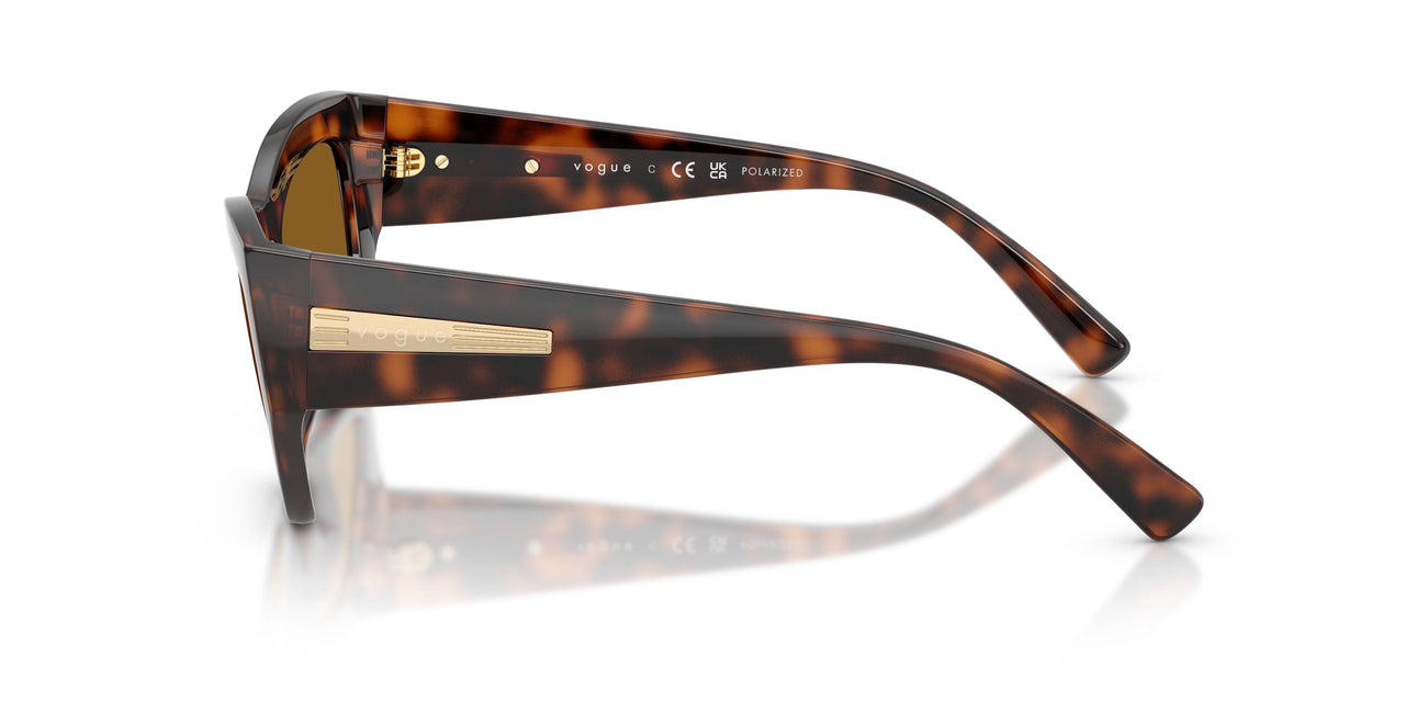 271883 - Brown - Dark Brown Polar