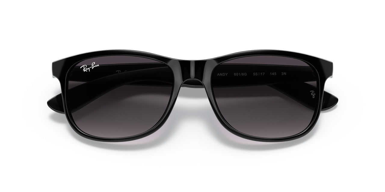 601/8G - Black - Gray Gradient