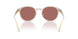 58790H - Brown - Wine Solid