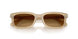 116985 - Brown - Light Brown Gradient Dark Brow