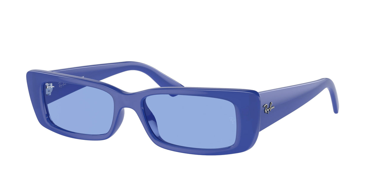 Ray-Ban Teru 4425F Sunglasses