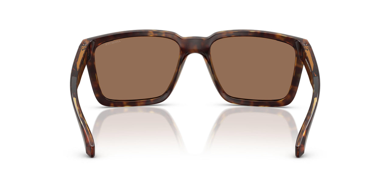 277073 - Brown - Dark Brown