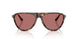 1251AK - Brown - Polarized Wine