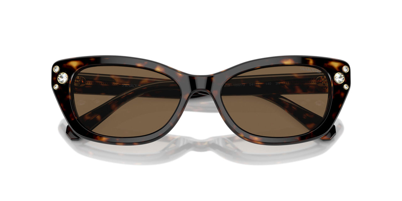 100273 - Tortoise - Dark Brown