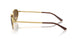 001/M2 - Gold - Brown