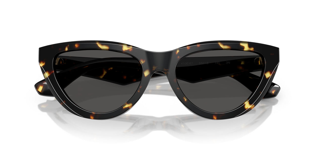 410687 - Tortoise - Dark Grey