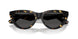 410687 - Tortoise - Dark Grey
