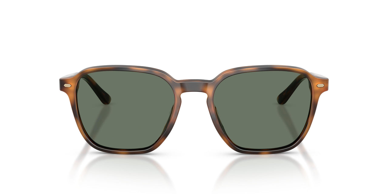 61613H - Tortoise - Green