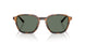 61613H - Tortoise - Green