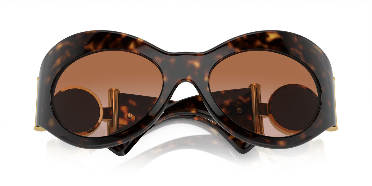 108/13 - Tortoise - Brown Gradient