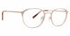 Mr Turk MTPERRAULT Eyeglasses