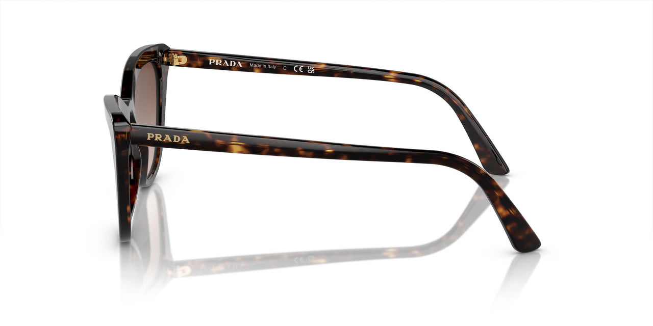 2AU6S1 - Havana - Brown Gradient