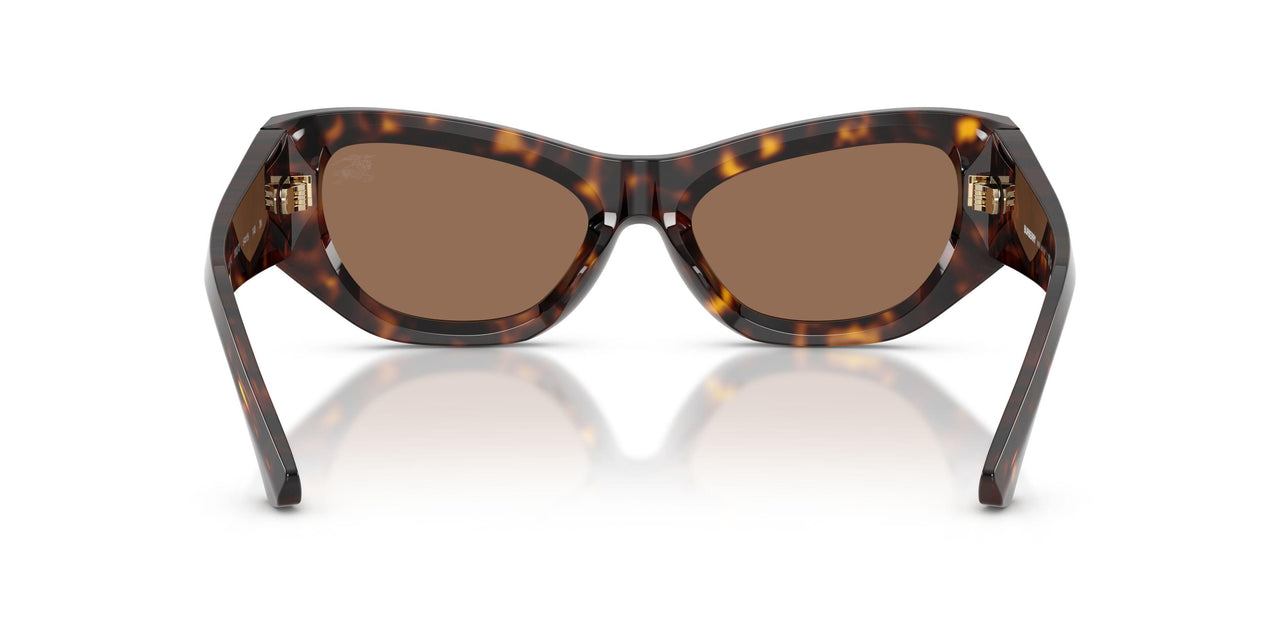 300273 - Brown - Dark Brown
