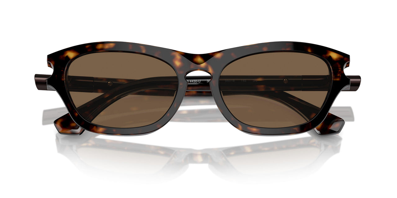 300273 - Brown - Dark Brown