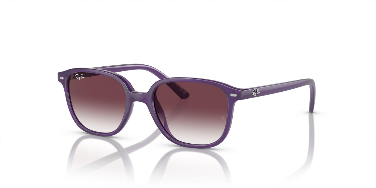 713136 - Violet - Grey/violet
