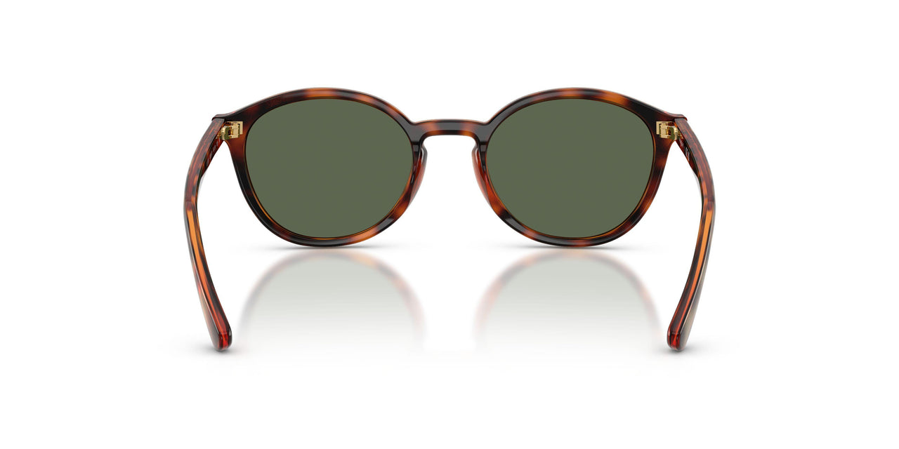 W65671 - Brown - Dark Green
